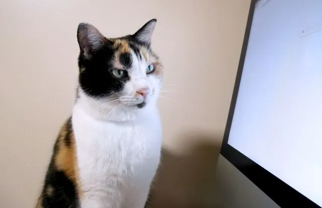 社員のテレワークは監視すべき？メリットや注意点、おすすめツールも併せて紹介